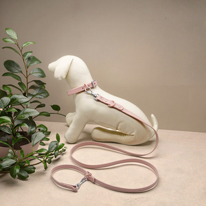 Ensemble collier et laisse pour animal de compagnie de 1 <span class=keywords><strong>L</strong></span>, détachable, rembourré, écologique, riveté, réglable, en PVC imperméable, à libération rapide, é<span class=keywords><strong>l</strong></span>égant, durable, avec anneau en D - Product Image 1