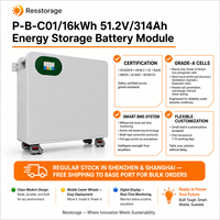 Système de stockage d'énergie solaire domestique hybride 48V 314Ah 16kWh LiFePO4 mural avec BMS intelligent et équilibrage actif