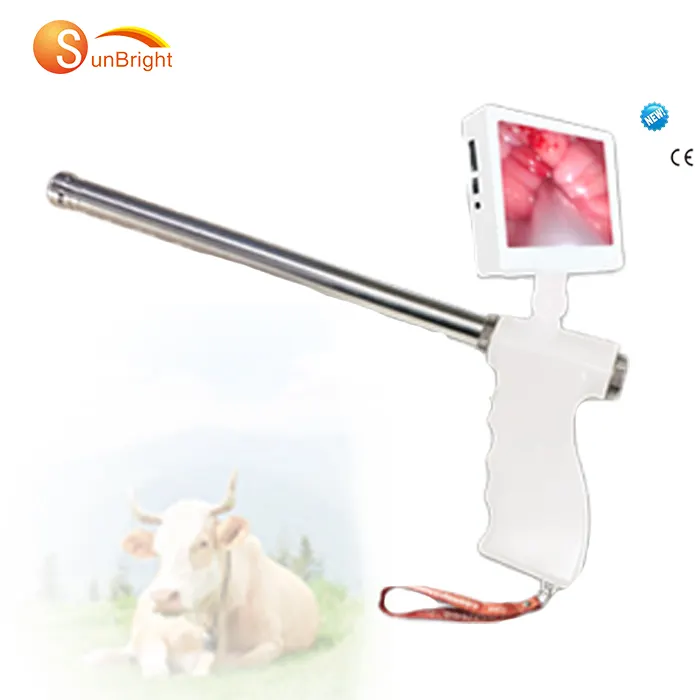 घूमने योग्य स्क्रीन के साथ मवेशी गाय के लिए एंडोस्कोप कृत्रिम गर्भाधान गन