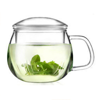 Ensemble tasse et soucoupe en verre écologique de 350 ml (10 oz) avec infuseur amovible pour thé en vrac