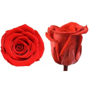 Цветок вечной жизни, оптовая продажа, 4-5 см, роза, первые 8 наборов класса «DIY», сырье для Вечной жизни, Цветочная Роза, оптовая продажа