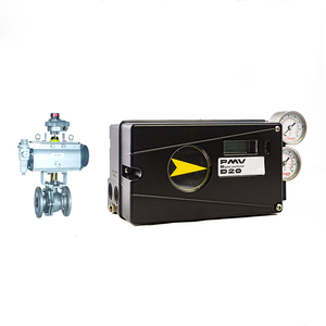 PMV D20 Digital WIth Chongqing Chuanyi Automation - Product Image 5
