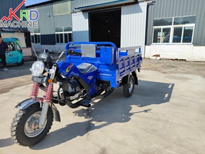 Tricycles et transporteurs de marchandises à essence les plus vendus pour le transport et le transfert de matériaux - Product Image 5