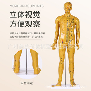 80CM - Product Image 4