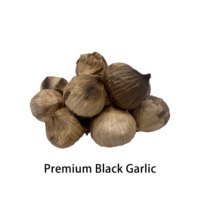 Ail noir fermenté naturel Solo 500g, en conserve sous vide, durée de conservation 12 mois, prêt à consommer, doux, biologique, Halal, ISO, origine Chine