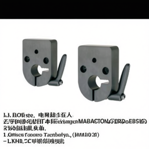 Sujetador Antirrotación de Doble Perno Tipo LKM01 D10 12 20, Fijación Transversal y Longitudinal - Product Image 2