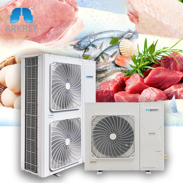 Arkref Cold Room Frequency Conversion Air-cooled Refrigeration Condensing Unit  Inverter Condensing Unit
