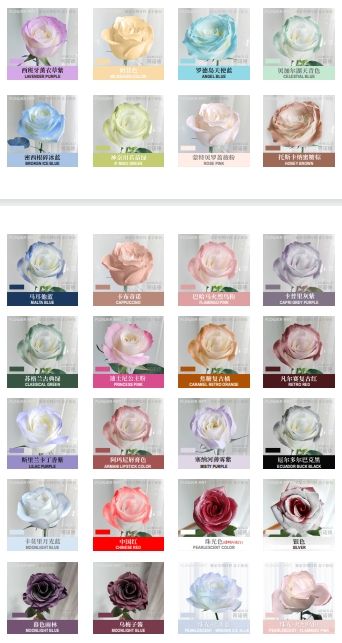 สีที่มีอยู่