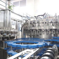 Machine d'emballage entièrement automatique pour bouteilles d'eau pure, usine de production d'eau en verre haute performance à vendre