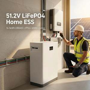 Système de stockage d'énergie mural LiFePO4 pour maison, batterie ESS 51,2 V 14,3 kWh, pour alimentation de secours solaire - Product Image 1