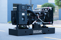 Générateur diesel ouvert Goldlink Power Manufacturer Supply 45KVA/36KW, générateur électrique 45kva, dynamo