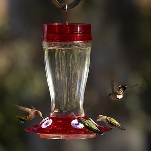 Comedero de colibrí Big Gulp para la salud de las aves, comederos de colibrí de vidrio para exteriores, 5 estaciones de alimentación, casa de pájaros exterior, 40 onzas - Product Image 3