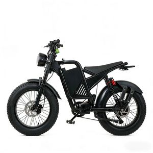Factory Custom 800W Lithium Fat Tire <b>Electric</b> Bicycle Dual Suspension Waterproof Bulk Order Discount With Battery - Product Image 3