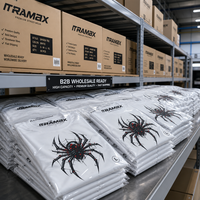 T-shirt blanc RAMAX personnalisé avec motif araignée, coton épais 300g, coupe oversize, style streetwear, vente en gros, fournisseur OEM