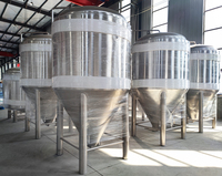 Unitanks de pression coniques d'acier inoxydable de fermenteur de bière de 2000L 3000L