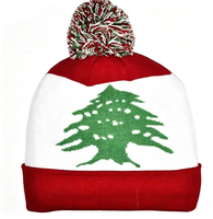 Nouveauté : Bonnet tricoté avec drapeau du Koweït pour femmes et hommes, bonnet à pompon, bonnet chaud d'hiver, doux, extensible, pas cher, vente en gros personnalisée