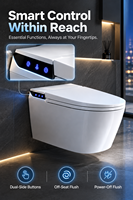 WC intelligent à fermeture automatique, bidet mural, siège chauffant, séchoir à air chaud, nouveau design, céramique, pour bâtiment commercial