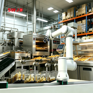 Brazo robótico colaborativo de 6 ejes totalmente automático para catering, compatible con procesamiento de alimentos, solución robótica para comida rápida. - Product Image 1