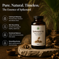 Huile Essentielle de Spikenard Biologique Distillée à la Vapeur 100% Pure Naturelle Extrait de Plante de Nardostachys Jatamansi Cultivée Qualité Cosmétique