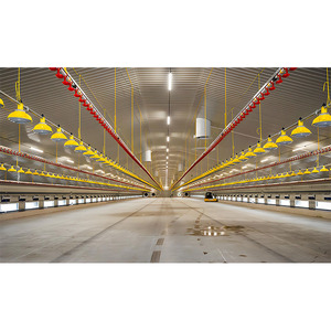 Poulailler de ferme à cadre en acier haute résistance avec système de litière profonde conçu pour les fermes de poulets de viande jusqu'à 10,000 oiseaux - Product Image 6