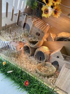 Habitat e Trasportino in Legno a Doppia Porta per Più Animali con Design Classico di Lusso per Quaglie, Ricci, Criceti e Altri - Product Image 4