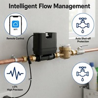 Vanne d'arrêt d'eau intelligente VF2419 pour toute la maison avec compteur |   Contrôleur intelligent Wi-Fi et protection contre les fuites pour appartements et maisons