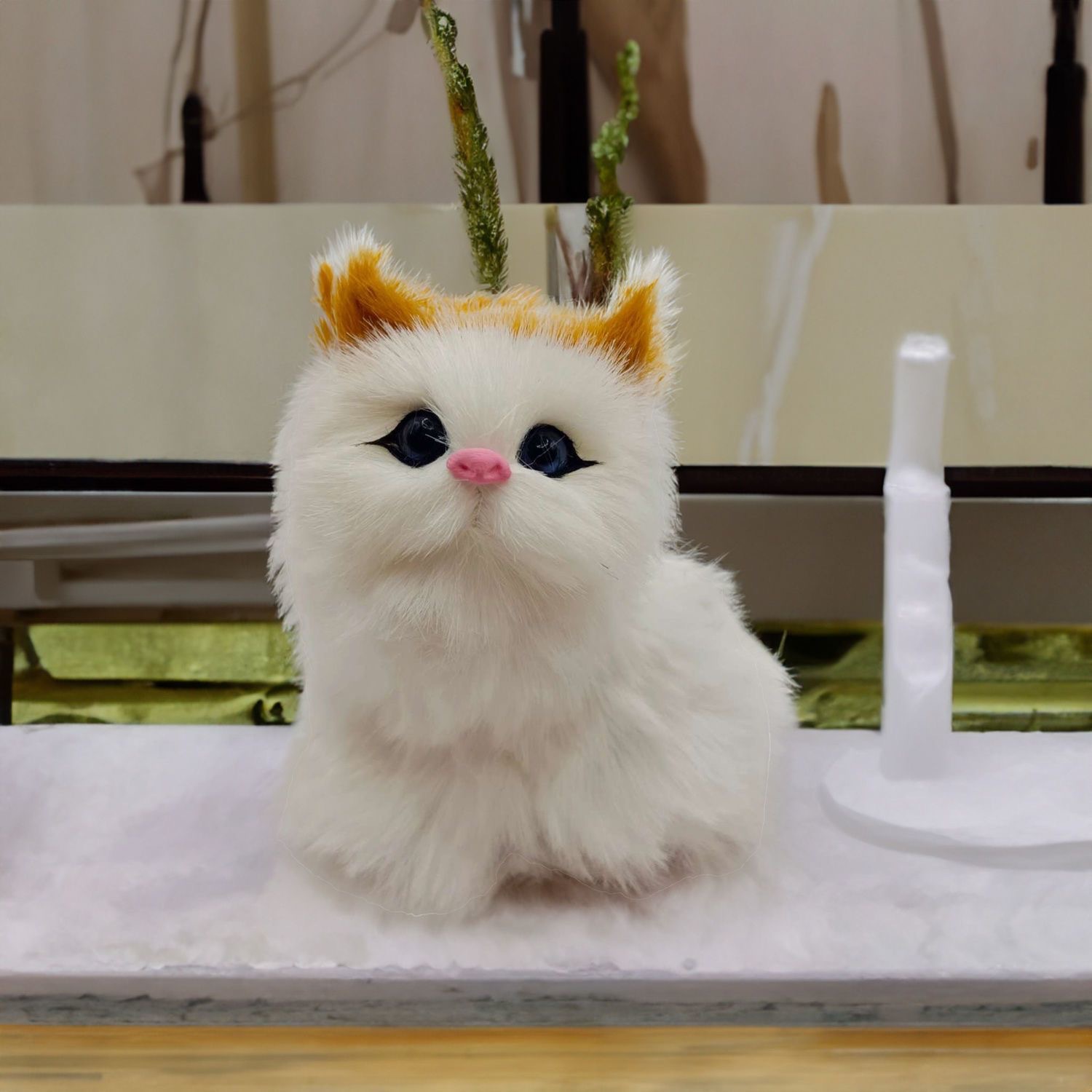 Gato cabeza amarilla