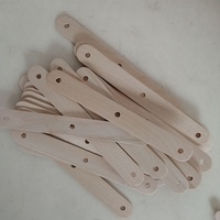 Bâtonnets de crème glacée en bois de bouleau perforés NEWELL, écologiques, assemblés à la main, pour sucettes glacées maison