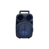 Haut-parleur portable OEM/ODM avec microphone et lumière LED pour karaoké, idéal pour les fêtes à domicile et l'intérieur