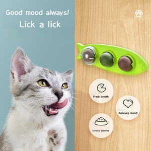 Jouet à mâcher pour chat en forme de poisson avec boule de catnip, friandises rotatives à base de fruits de la grappe argentée pour chats - Product Image 2