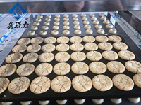 Usine de haute qualité 100kg/jour nouvelle entreprise commerciale pour la boulangerie pour la ligne de production de biscuits au lait de farine de noix