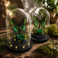Cloche en verre papillon émeraude avec spécimen réel préservé, rose botanique, décoration de luxe pour bureau, maison, mariage, cadeau