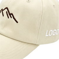 Casquettes de sport en tissu éponge style baseball personnalisées, design sportif unisexe pour une utilisation en quatre saisons, confort et performance pour la salle de sport, la randonnée et le quotidien