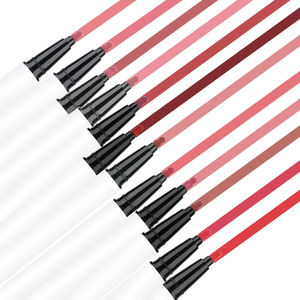 Crayon à lèvres vegan longue tenue, haute pigmentation, label privé, 12 couleurs, blanc mat, minéral naturel, résistant à l'eau, logo personnalisé MLM - Product Image 1