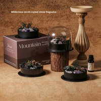 Diffuseur d'huiles essentielles sans flamme en pierre, pour intérieur, longue durée (120 jours), décoration haut de gamme pour la maison, parfum d'ambiance, anniversaire