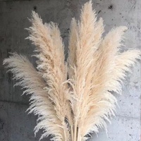 Bunga Pampas Grass Laris Manis untuk Dekorasi Pernikahan/Rumah, Buket Pampas Grass