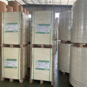 Paper pe coated 300gms for the production of paper cups