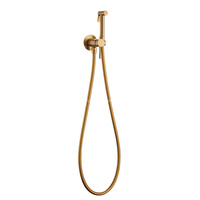 En 2025, l'ensemble de système de douche de lavage en or brossé à poignée sculptée ronde pour pistolet de pulvérisation de style classique a été bien vendu.