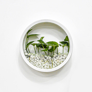 Vaso <span class=keywords><strong>da</strong></span> fiori per piante idroponiche succulente per interni o esterni per Patio con balcone o giardino di casa - Product Image 2