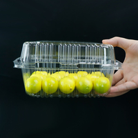 Plastic Vers Fruit Doos Verpakking, Wegwerp Plastic Clamshell Voedselcontainers Afhaalmaaltijden Salade Container Pp P P