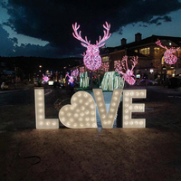 Lettres lumineuses LED en forme de cœur LOVE, enseigne lumineuse en alphabet, décoration personnalisée pour fête, mariage, événement