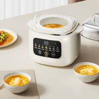 Cuisinière à vapeur électrique portable entièrement automatique et programmable, double couche en acier inoxydable, mini-cuiseur lent domestique en plastique