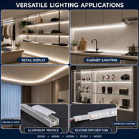 Bande LED adressable WS2811 SMD2835 DC24V à éclairage dynamique séquentiel 120 LED/m, CRI élevé pour l'éclairage des étagères de magasin et des vitrines