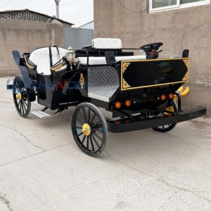 Black Luxury Electric Sightseeing Carriages Double-Row Horse Carriage Manufacturers Sell Well Low Prices - Product Image 3