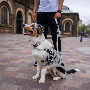 Custom Luxury <strong>Dog</strong> <strong>Harness</strong> Adjustable Nylon Chest Strap with Camouflage Plaid Tactical <strong>Chain</strong> Leash Wholesale Simple Sport Style - Product Image 3