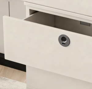 ES827 Slimme vingerafdruk ladevergrendeling met TYPE C noodopladen, constructie van zinklegering voor meubels, kasten en lockers - Product Image 3