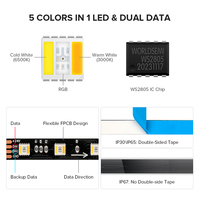 Nouvel Article Bande LED Adressable RGBCCT DC24V 12V 5M 60 LED/m 84 LED/m WS2805 Pixel RGB CW WW 5-en-1 4 Broches SPI RGB CCT IC Double Blanc