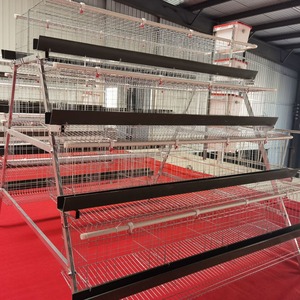 Yüksek verimli yumurta üretimi için ticari profesyonel sınıf yılında kanatlı ve tavuk kümesi için kümes hayvancılığı katmanlı kafes - Product Image 6