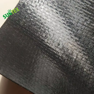 Bâche de bassin en PEHD renforcé 250 g/m² pour couverture de déponi et pisciculture, géomembrane perméable pour aquaculture - Product Image 1
