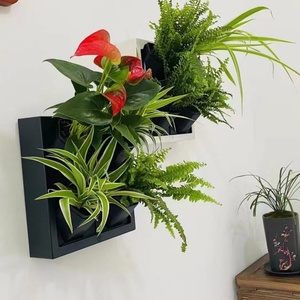 Decoración de Pared, Marco de Fotos Artístico, Jardín Vertical, Macetas con Plantas Naturales - Product Image 3